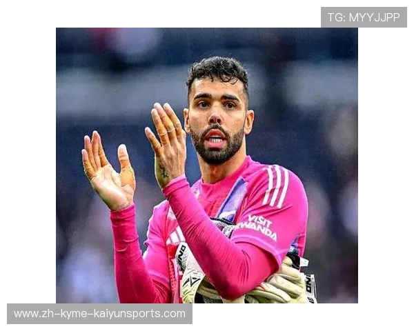 英超现任明星球员名单及其赛季表现综合评价